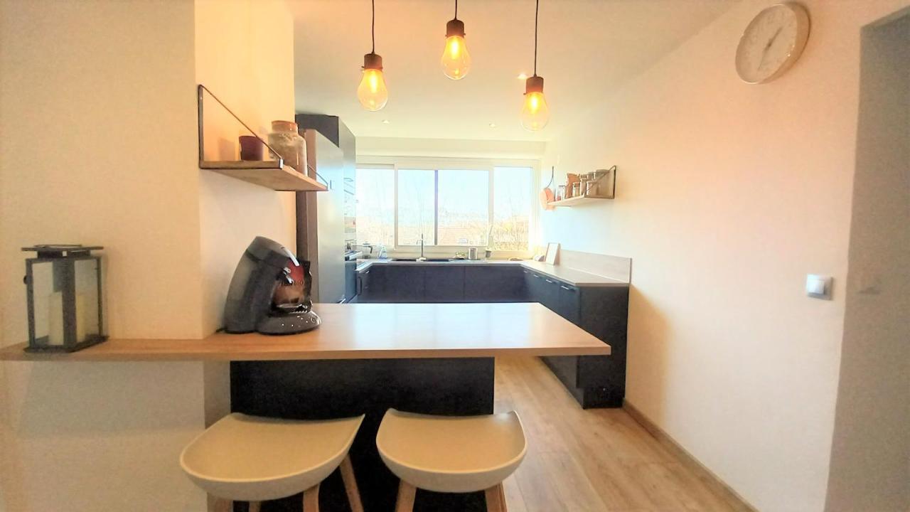 Magnifique Cocon - Metro A Republique - 2 Belles Chambres Avec Dressings - Wifi Gratuit - Netflix - Au Calme Absolu - Lumineux - Jardin Arbore Partage Dans La Residence ビユールバンヌ エクステリア 写真